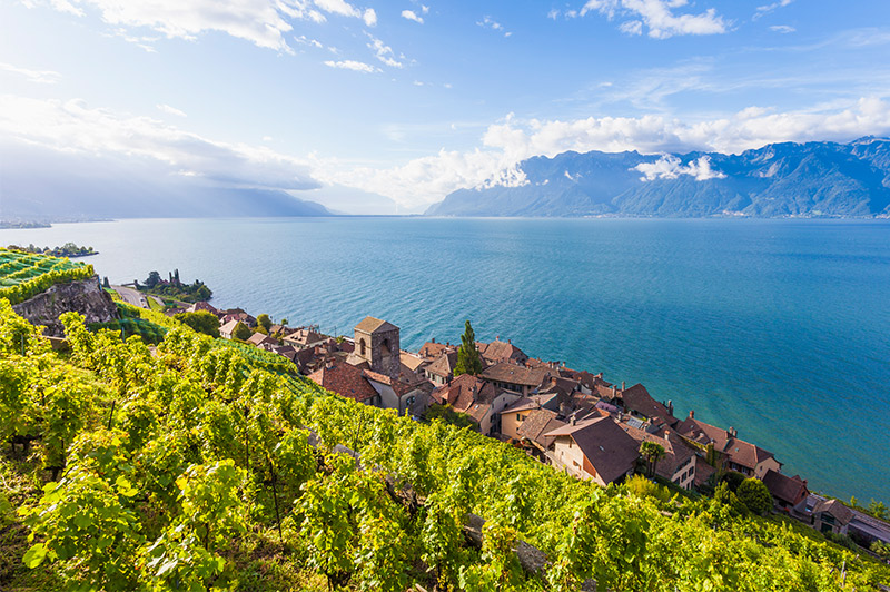 swizterland wine region overlooking water