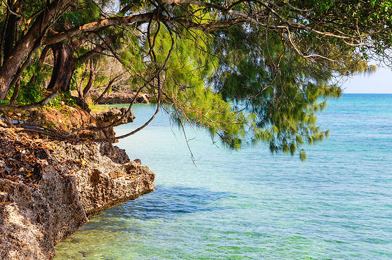 zanzibar water
