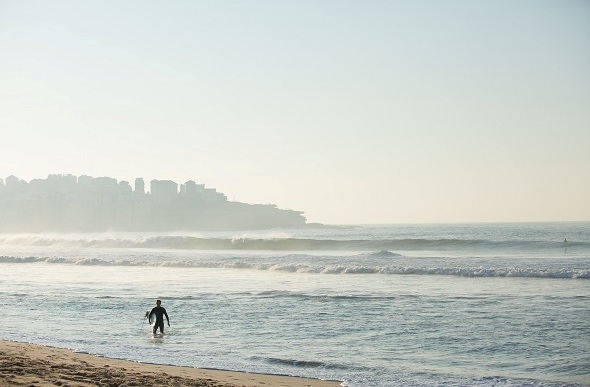 surfer bondi morning