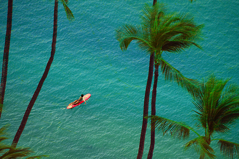 Paddling out at Waikiki Beach