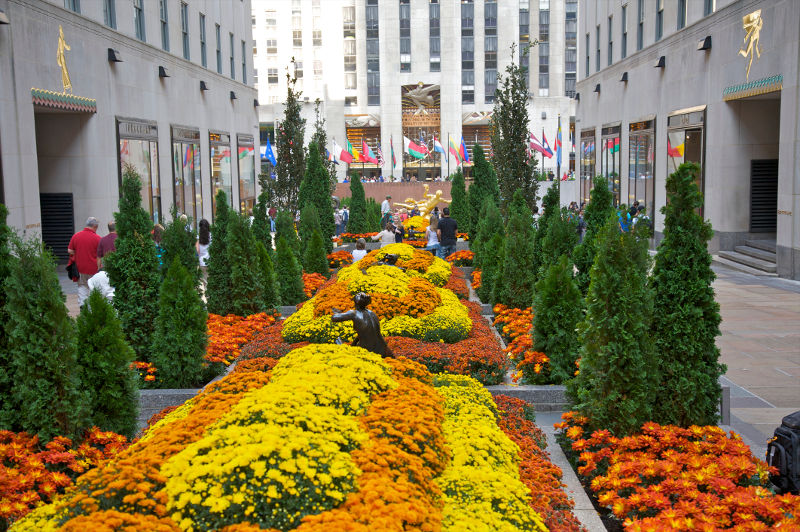 The Rockefeller Center Channel Gardens in New York City, USA.