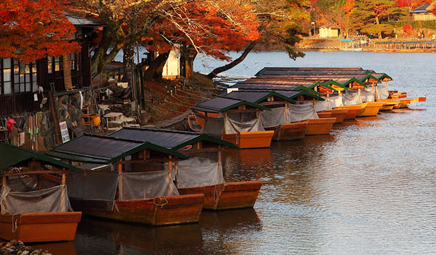 Autumn trees in Arashiyama, Kyoto