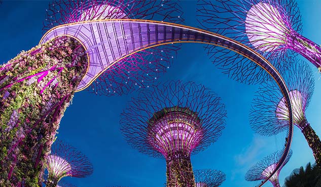 Supertree in Gardens by the Bay